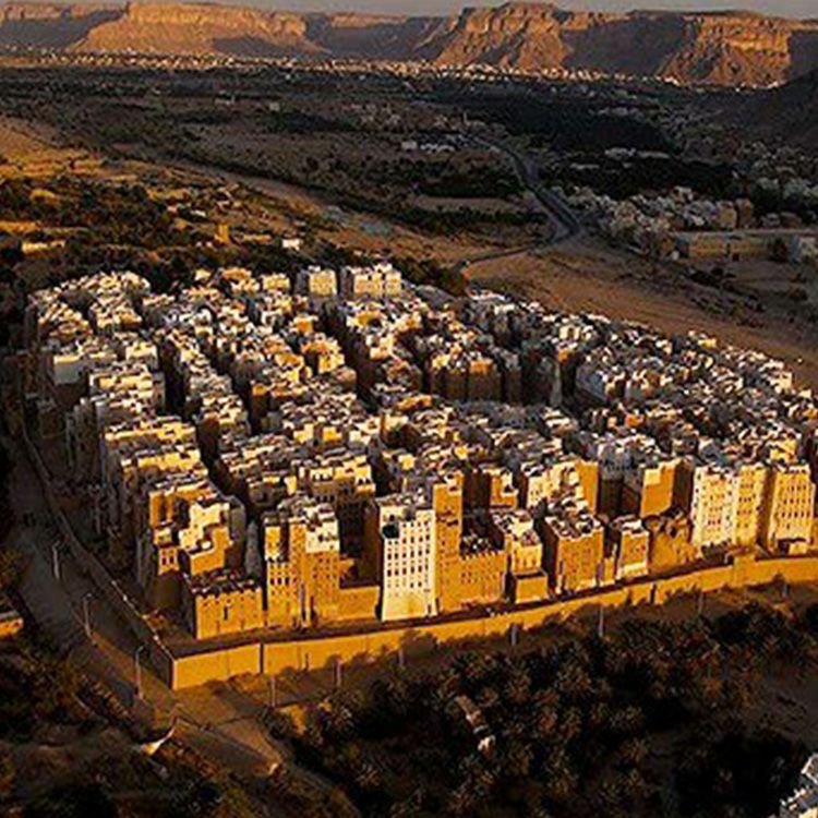 スペシャルティコーヒー豆イエメン ホワイトキャメル200g