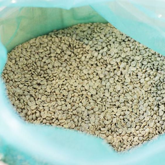 コーヒー生豆<bR>ブルーマウンテンNO.1 クライスデール 500g