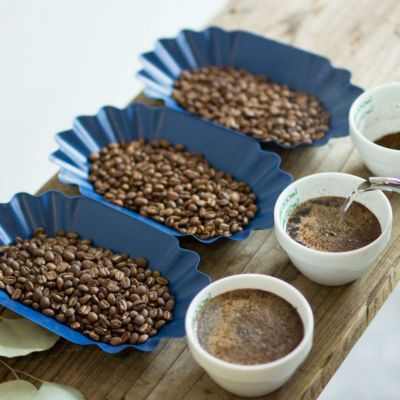 季節のスペシャルティコーヒー豆<br>3種合計400g 飲み比べセット<br>お試し 送料無料
