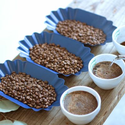 【スタンダードコース】スペシャルティコーヒー豆200g×3銘柄(src)