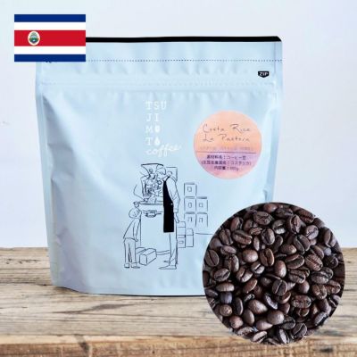 スペシャルティコーヒー豆<br>コスタリカ パストーラ農園 中深煎り<br>1kg（200g×5袋）<br>カトゥーラ・カトゥアイ ナチュラル <br>Costa Rica La Pastora / Caturra / Catuai<br>Natural / Fullcity Roast<br>煎り