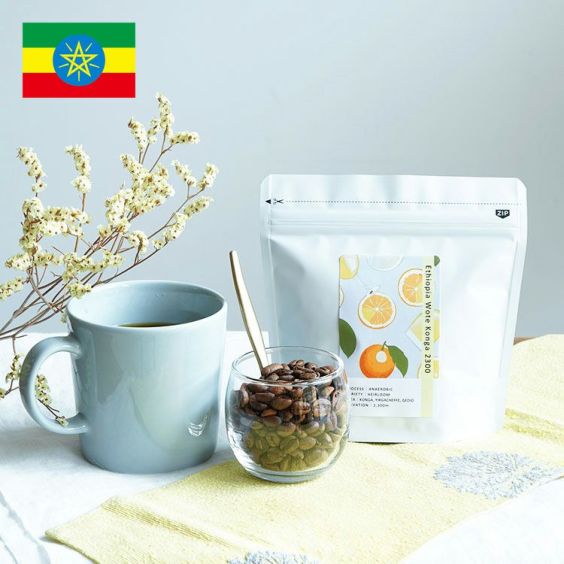 スペシャルティコーヒー豆<br>エチオピア ウォテコンガ 2300（100g）<br>アナエロビックファーメンテーション / エチオピア原種 / 浅煎り（high roast）<br>Ethiopia Wote Konga 2300 Anaerobic Fermentation<br>有