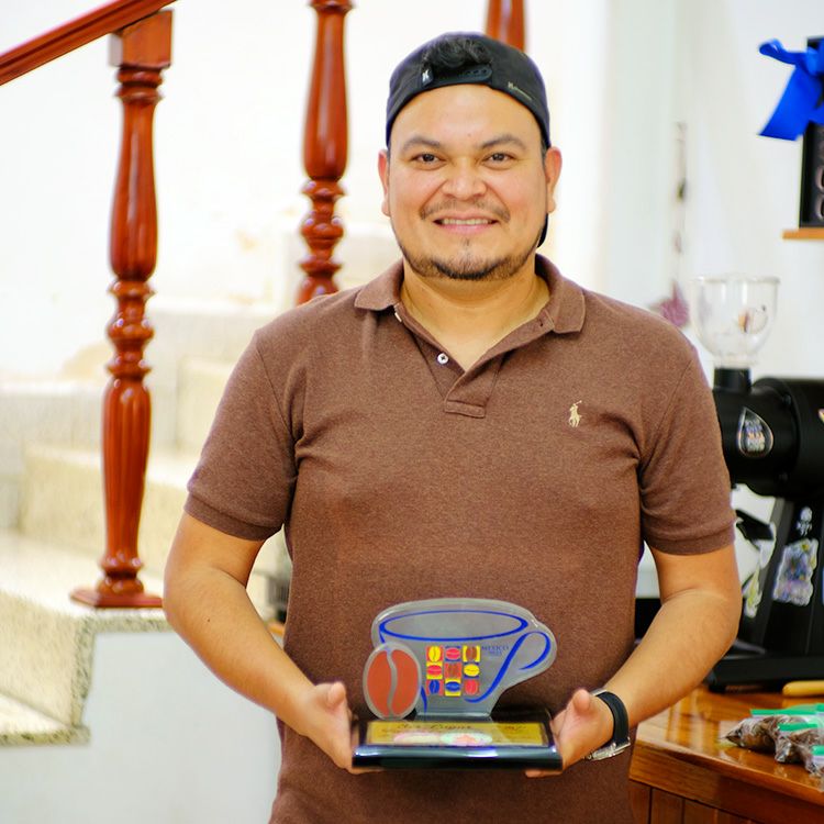 コーヒー生豆/メキシコAL5kg/送料無料 送料無料】 コーヒー生豆 メキシコ AL 5kg | 生豆,メキシコ産