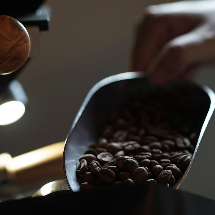 お年賀に【数量限定】グランクリュコーヒー豆・粉ゲイシャ 2種400g飲み